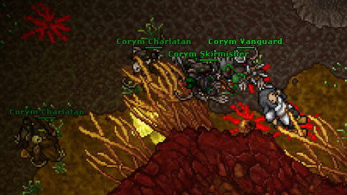 Hunt for Paladins level 30+ in Tiquanda Corym Cave | Intibia